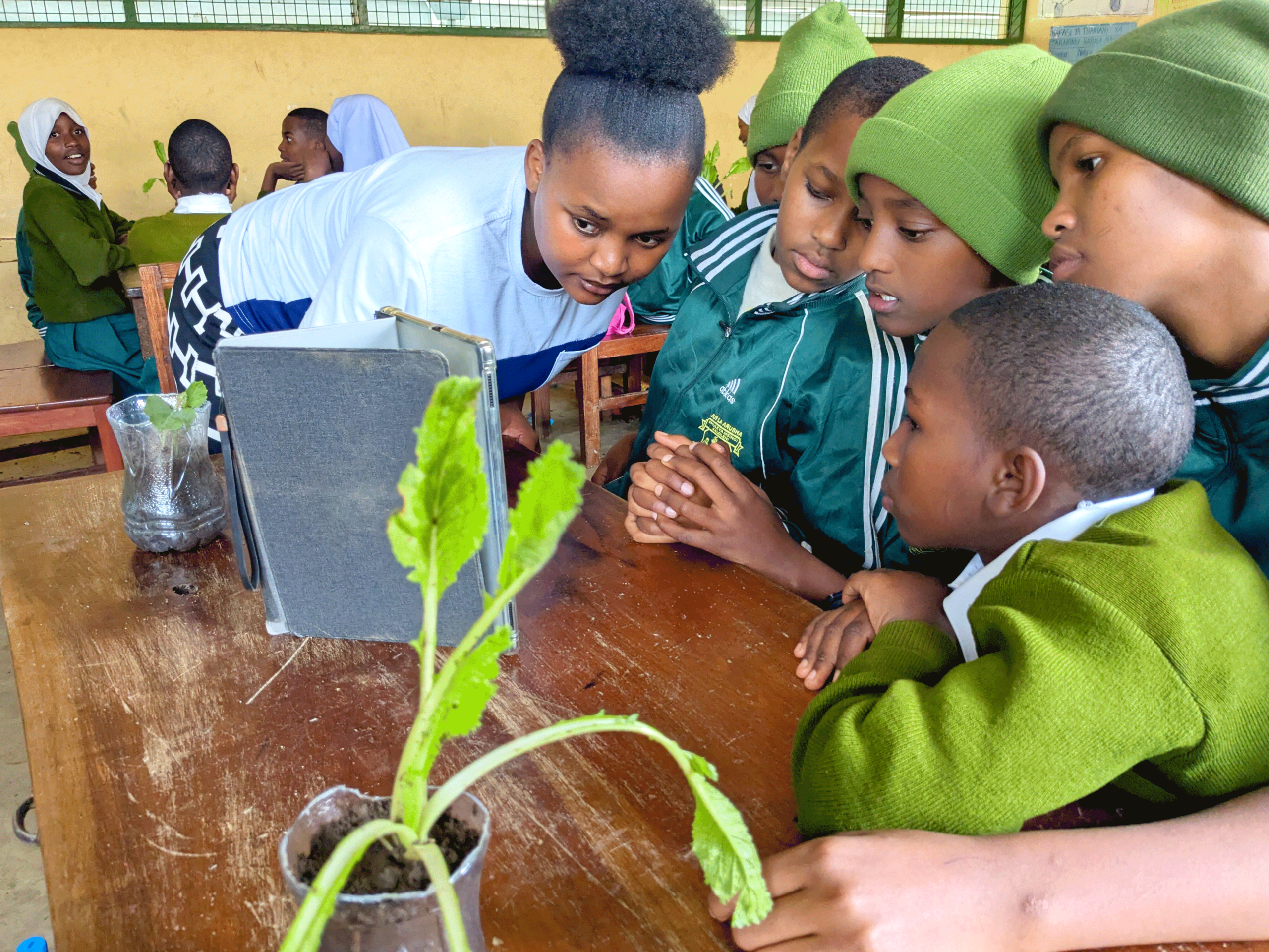 Fues-Ecostem-and-Disabiloity_0002_InShot_20250419_040551963