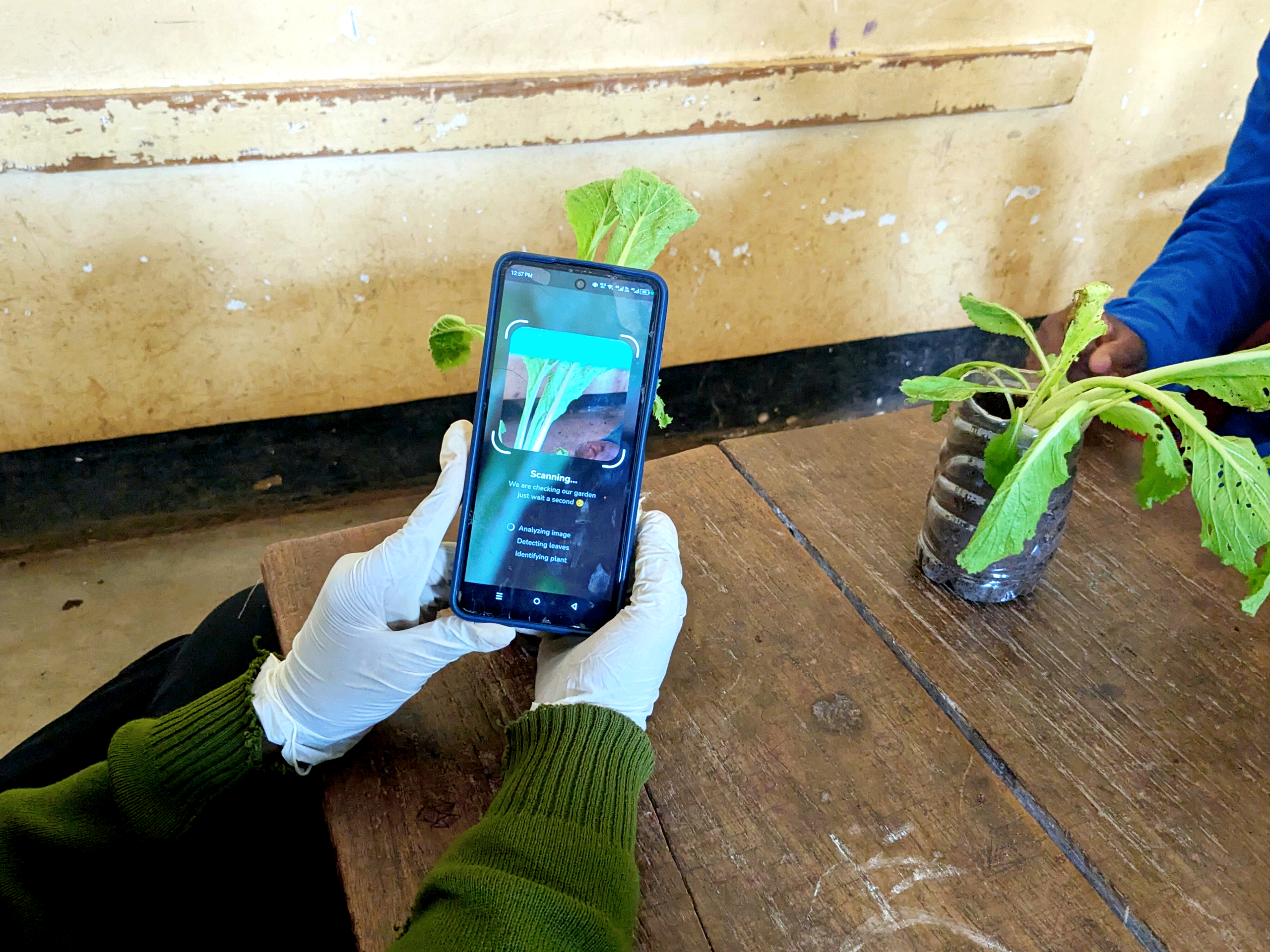 Fues-Ecostem-and-Disabiloity_0004_InShot_20250419_040900527