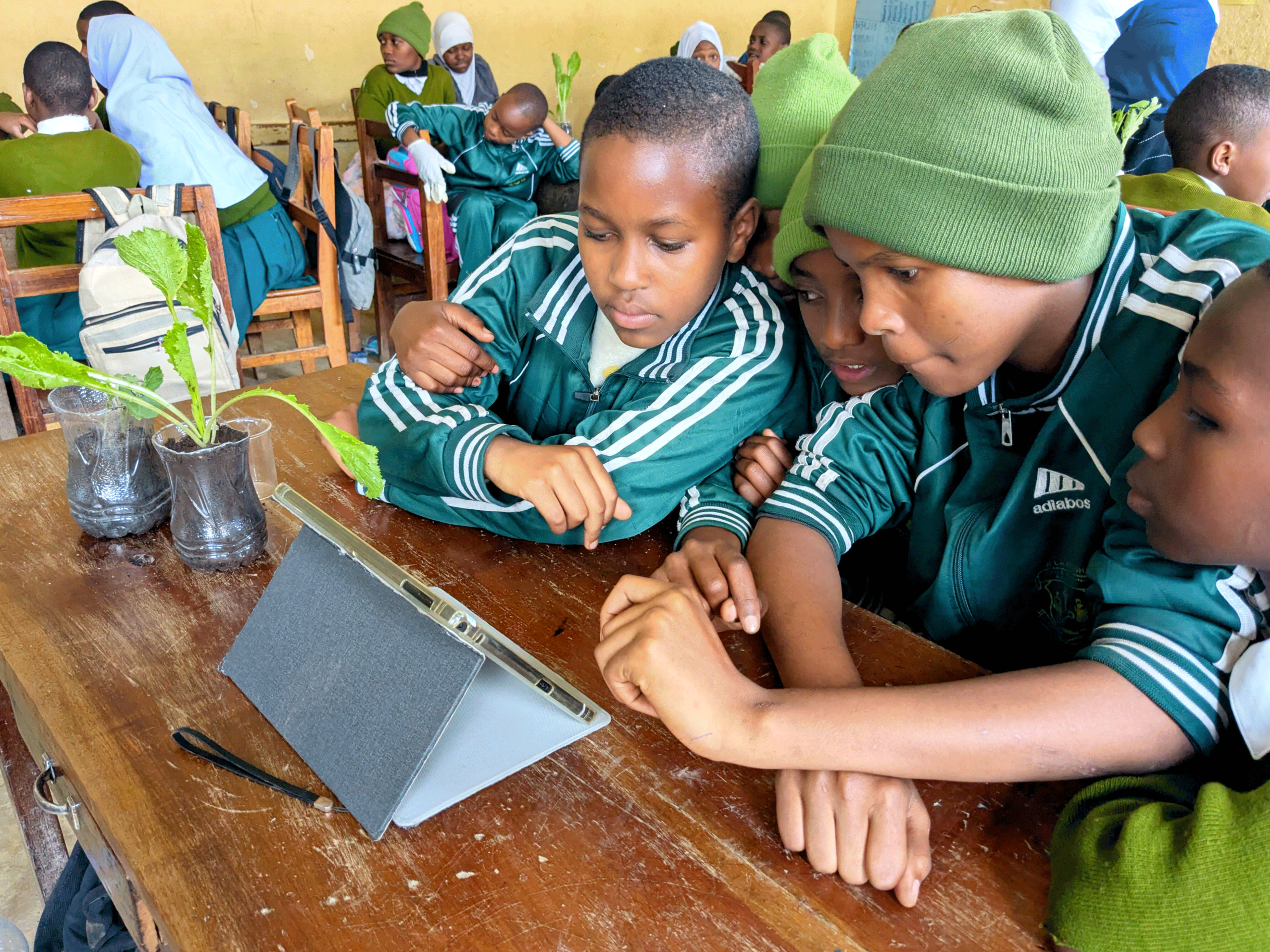 Fues-Ecostem-and-Disabiloity_0005_InShot_20250419_040621435