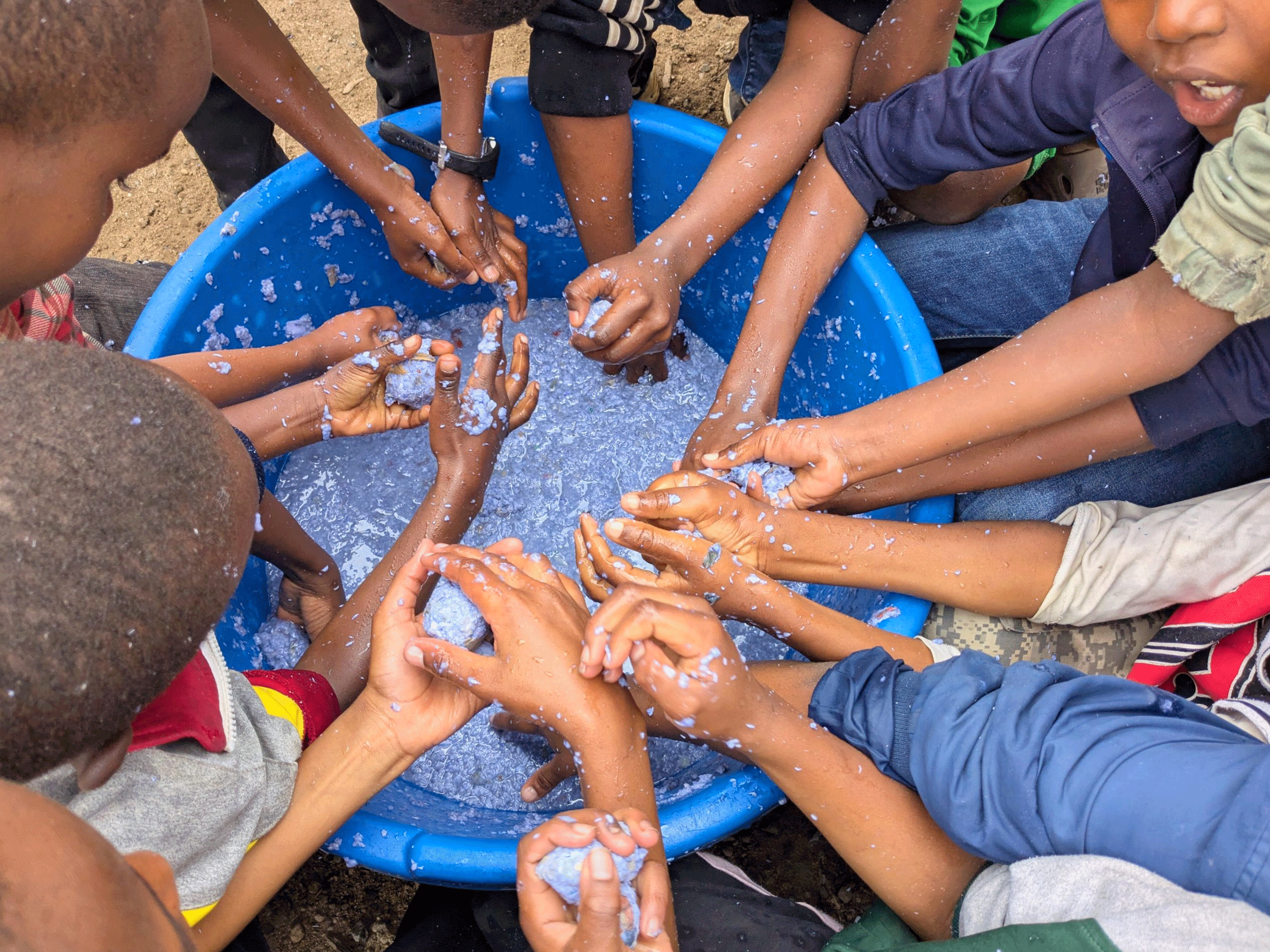 Fues-Ecostem-and-Disabiloity-NEW_0000_Layer-14