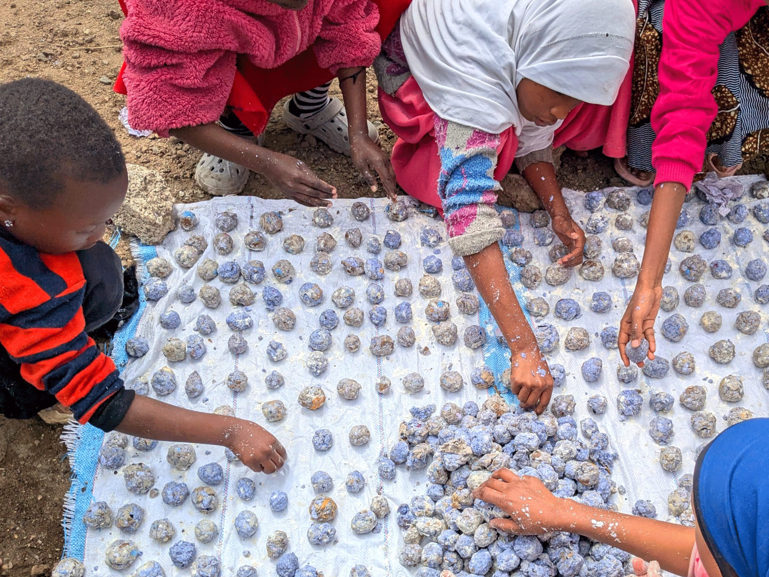 Fues-Ecostem-and-Disabiloity-NEW_0002_Layer-12