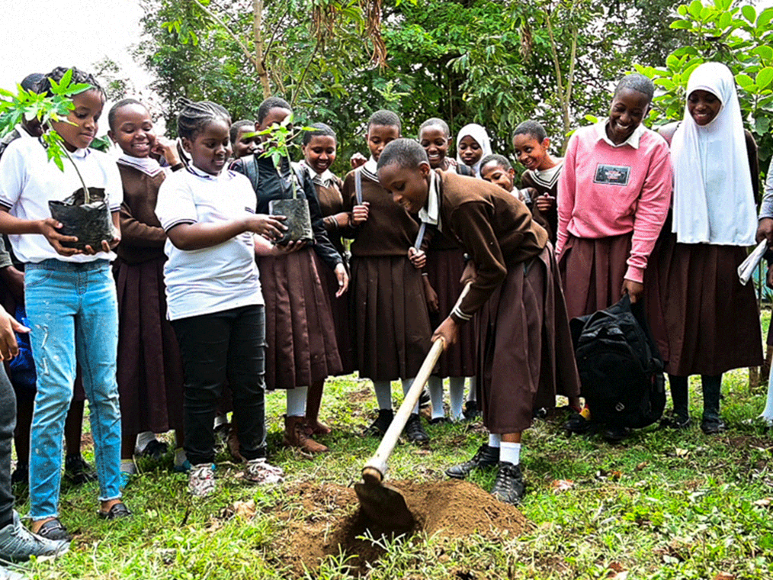 Fues-Ecostem-and-Disabiloity-NEW_0010_Layer-6