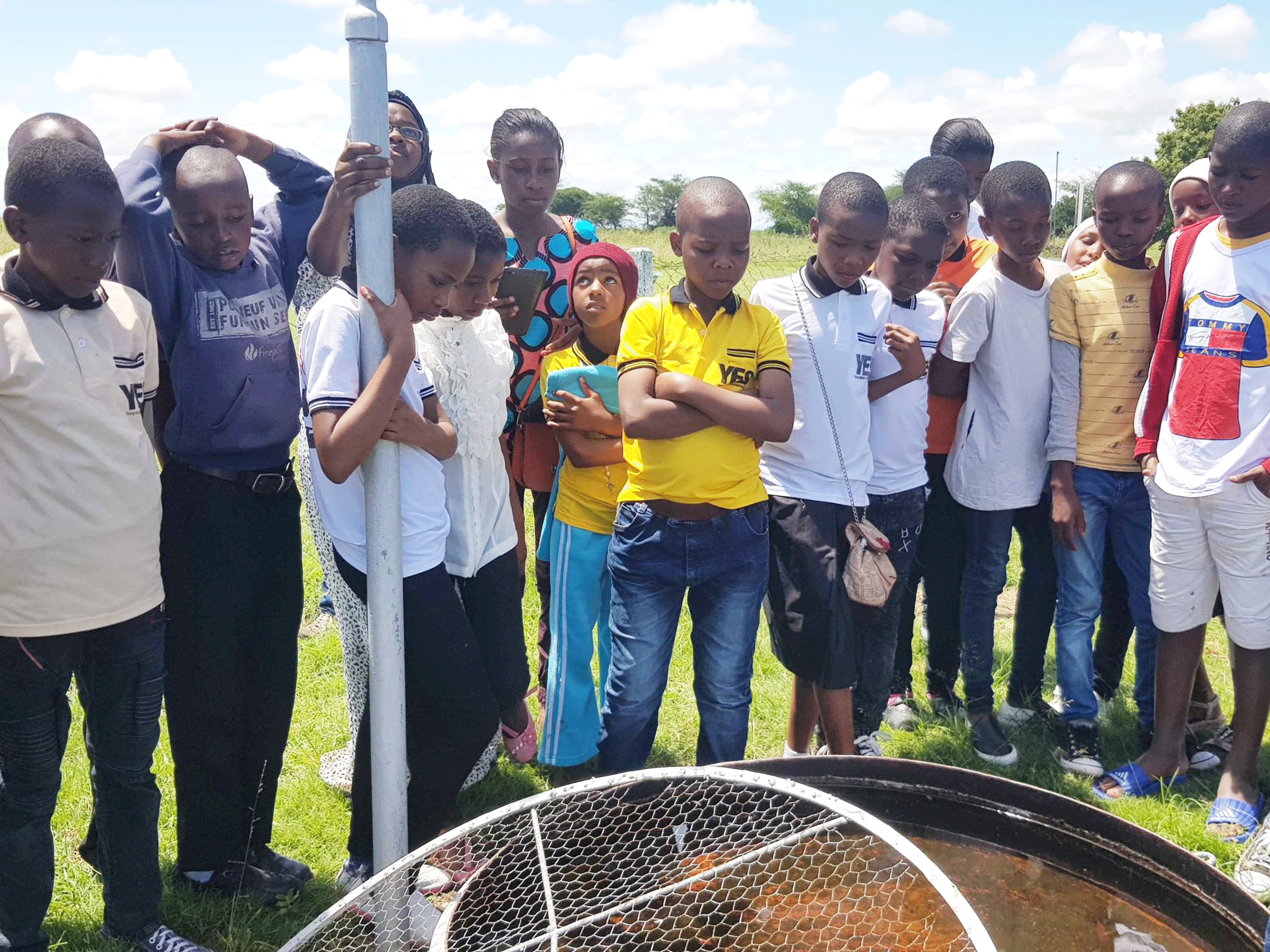 Fues-Ecostem-and-Disabiloity-NEW_0013_Brightness_Contrast-1